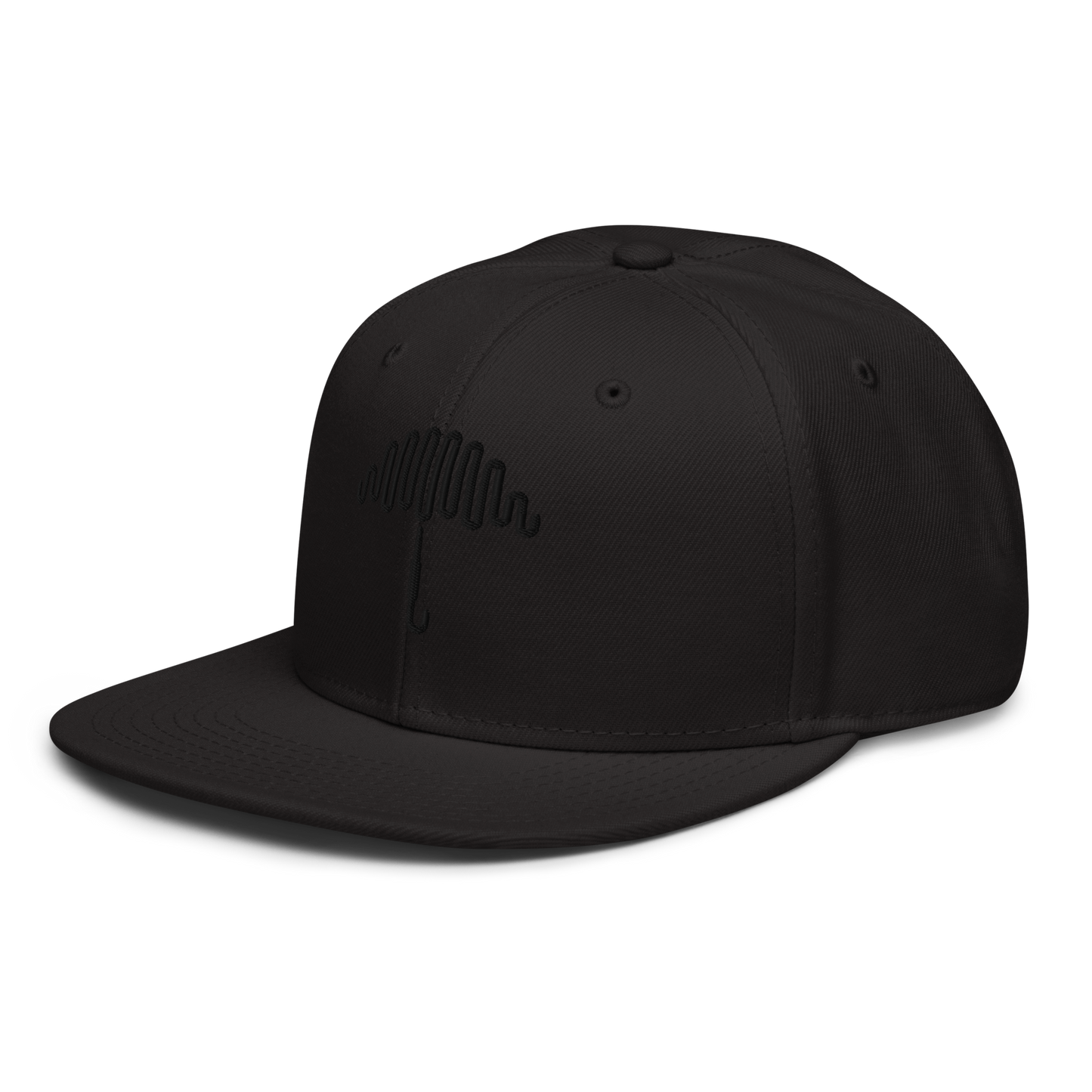 Double Black Crest Snapback Hat