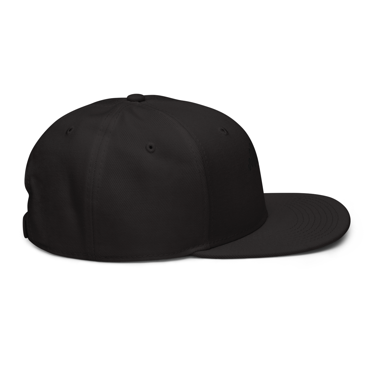 Double Black Crest Snapback Hat