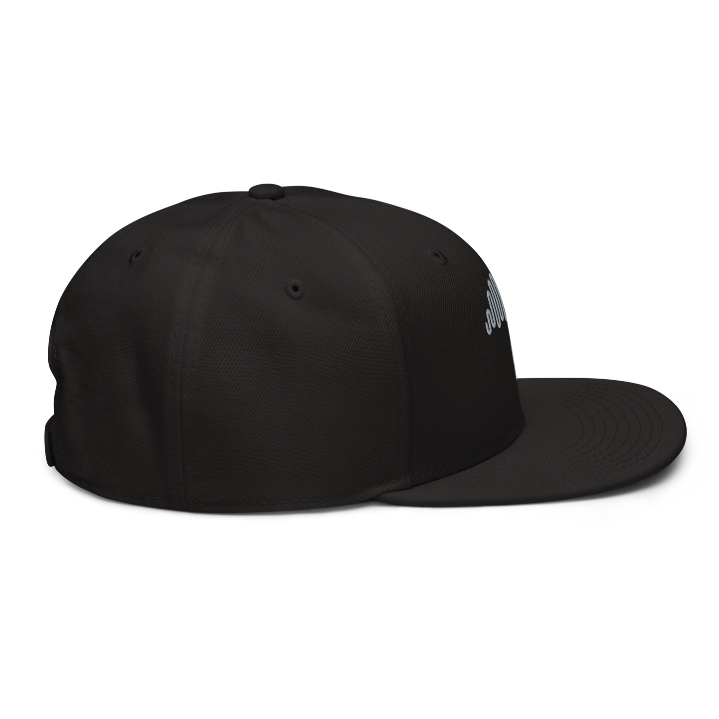 Grey Matter Black Snapback Hat