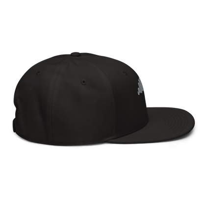 Grey Matter Black Snapback Hat